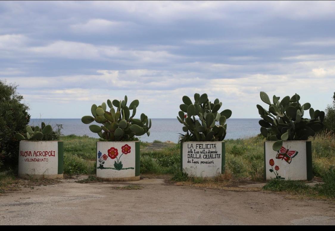 Samoa Beach 아레넬라 외부 사진