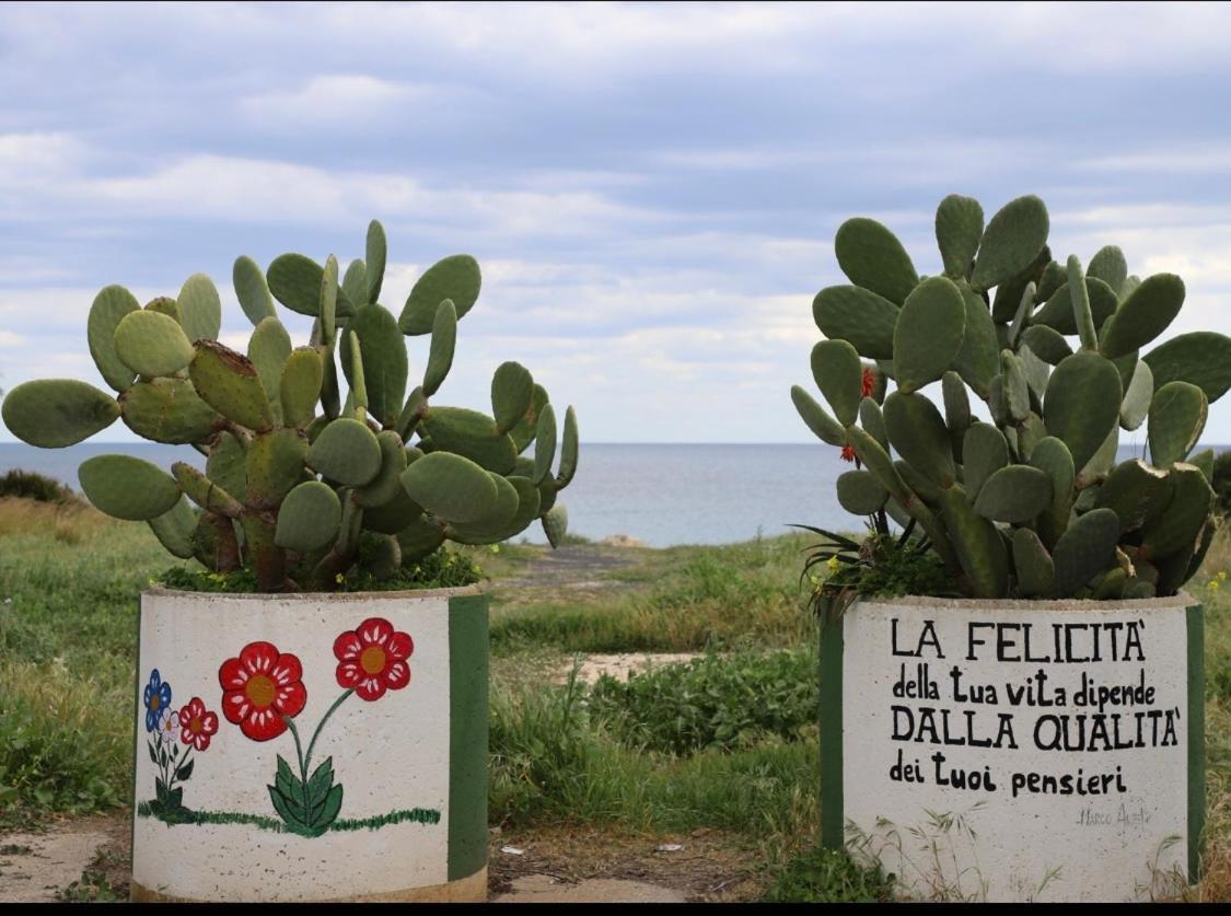 Samoa Beach 아레넬라 외부 사진